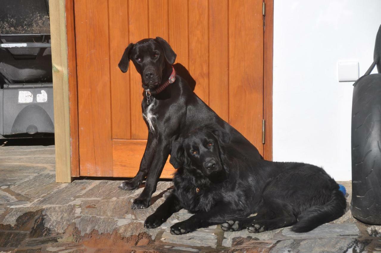 Quinta Do Bom Vento Guest House Óbidos Eksteriør bilde